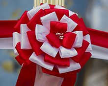 Traditional Japanese ribbon for opening ceremony